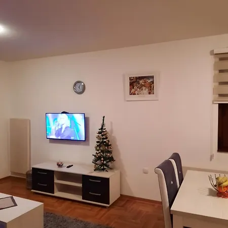 Apartment Bilja *